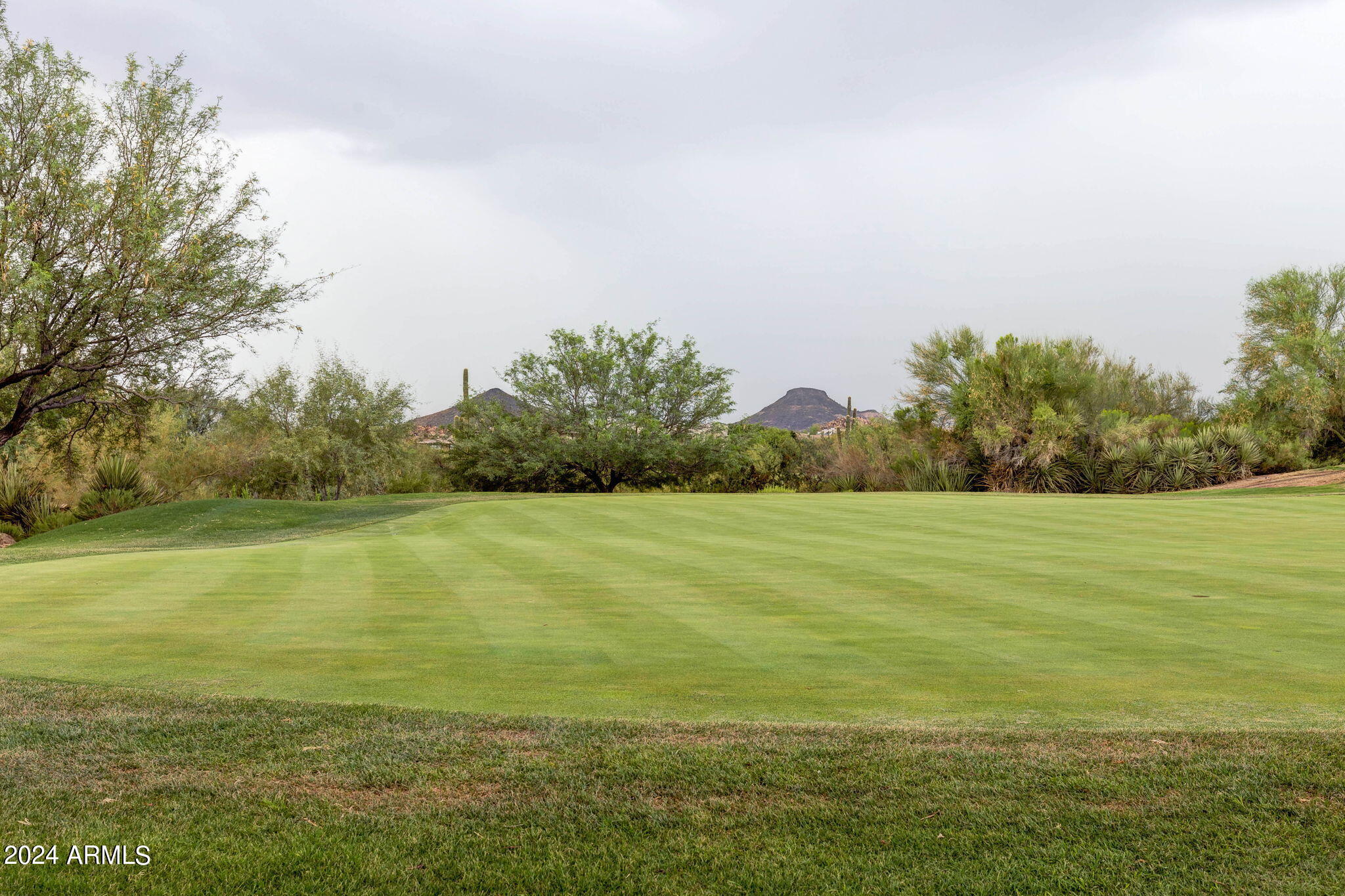 28990 North White Feather Lane, Unit 168 Scottsdale, AZ 85262 - Photo 31 of 36 a view of an ocean from a yard