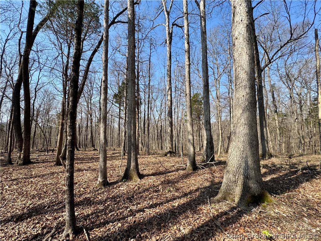 8875 Dukes Road Northwest Depauw, IN 47115 - Photo 17 of 21