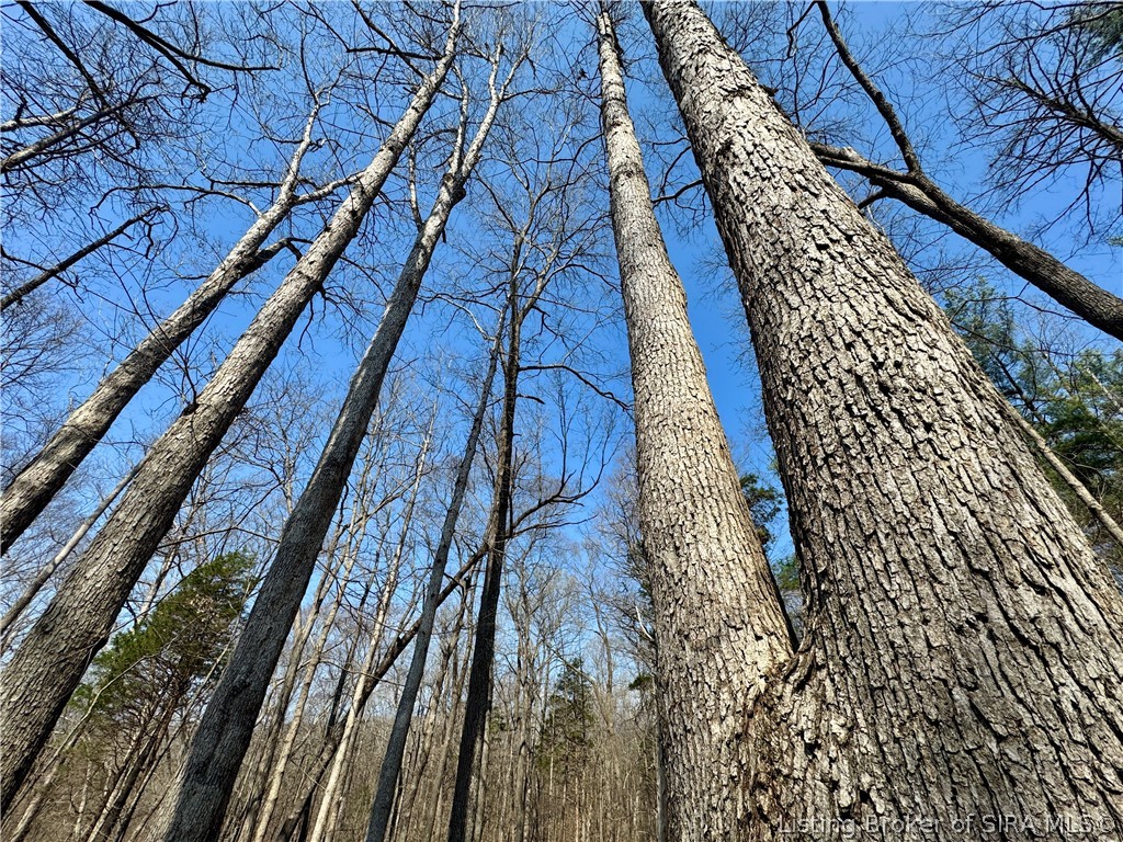 8875 Dukes Road Northwest Depauw, IN 47115 - Photo 18 of 21