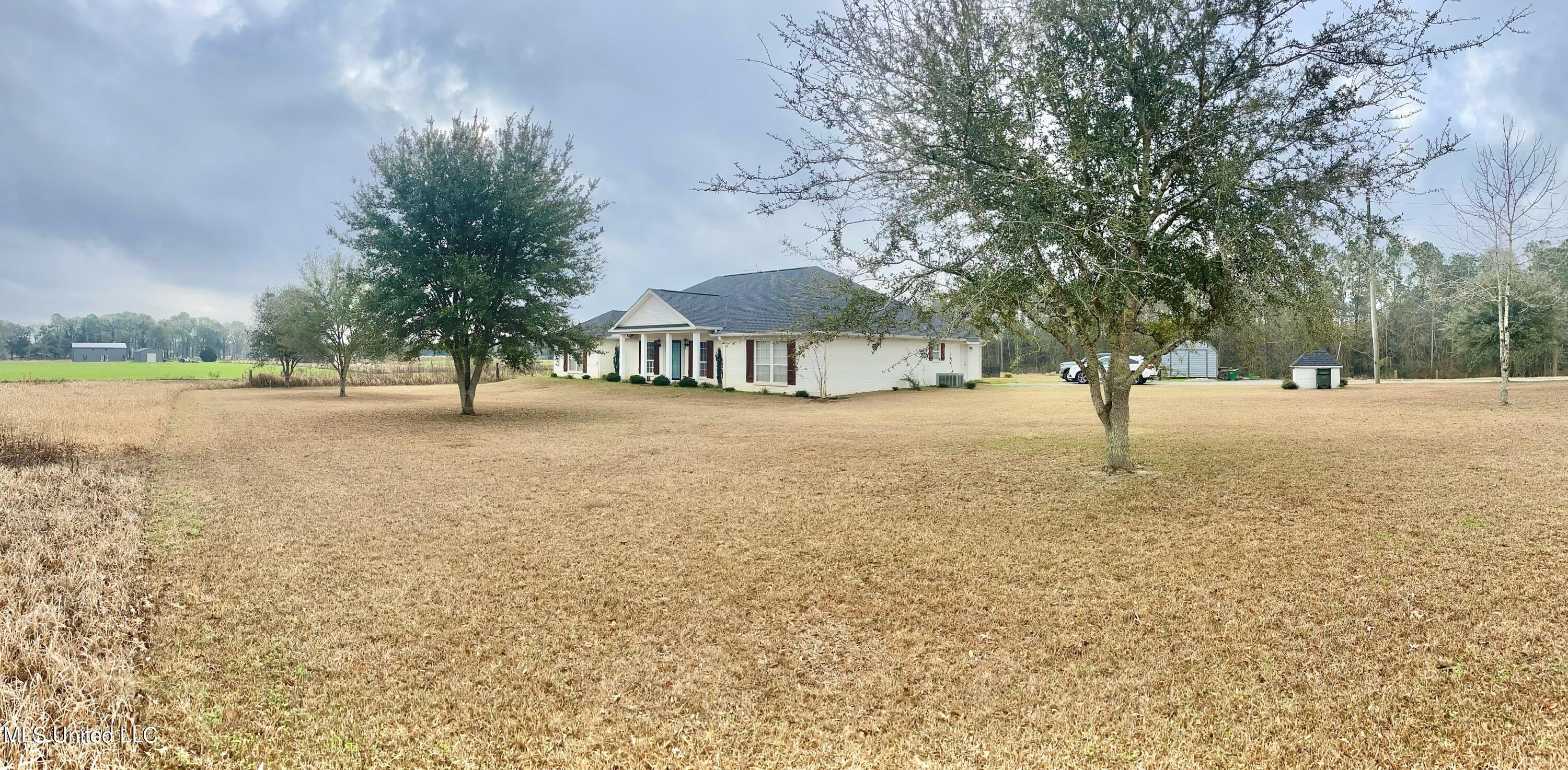 8104 Tanner Williams Road Lucedale, MS 39452 - Photo 3 of 24 Side