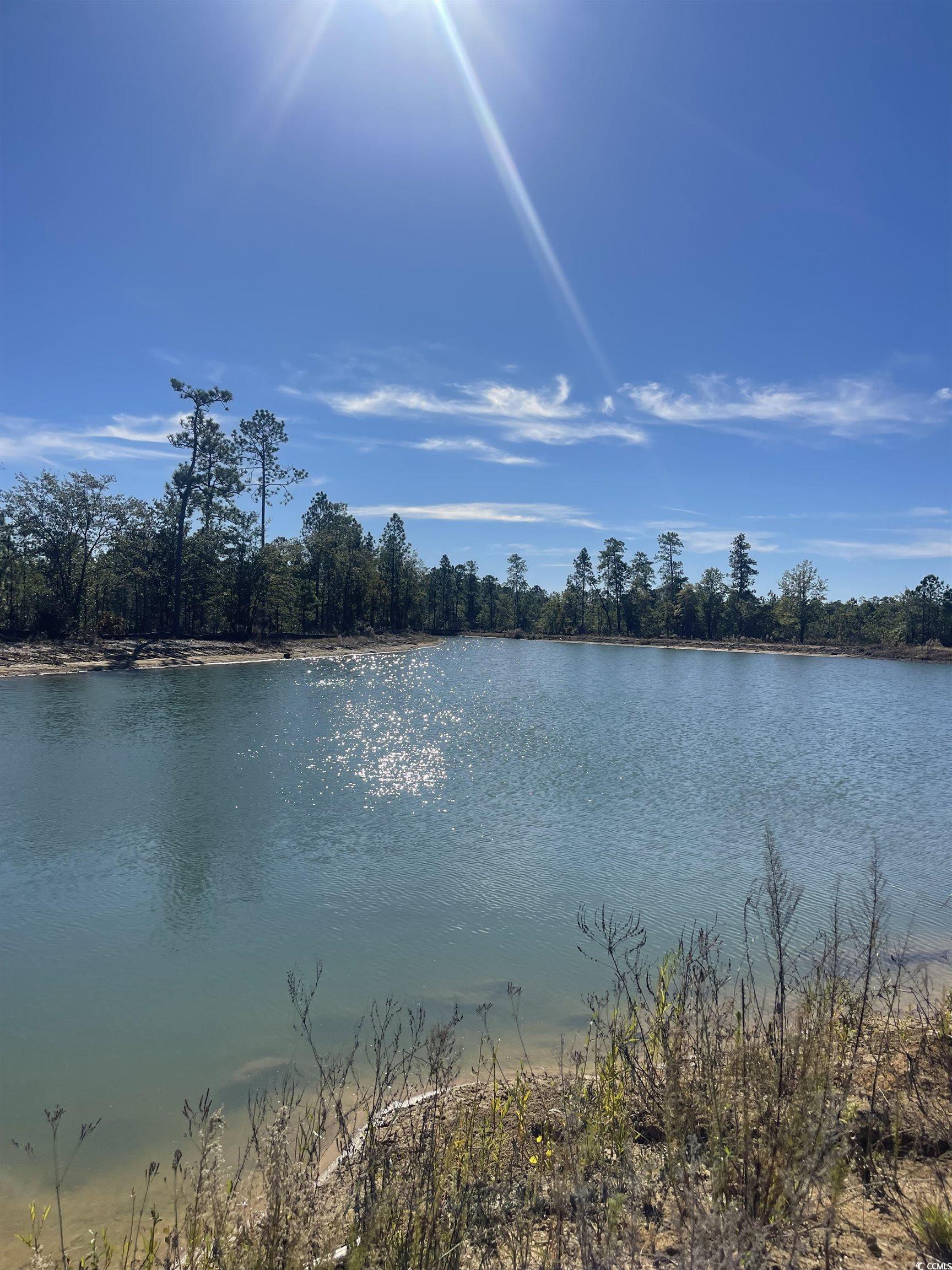 Lot Z1 Hardwick Road Conway, SC 29526 - Photo 1 of 11 Property view of water