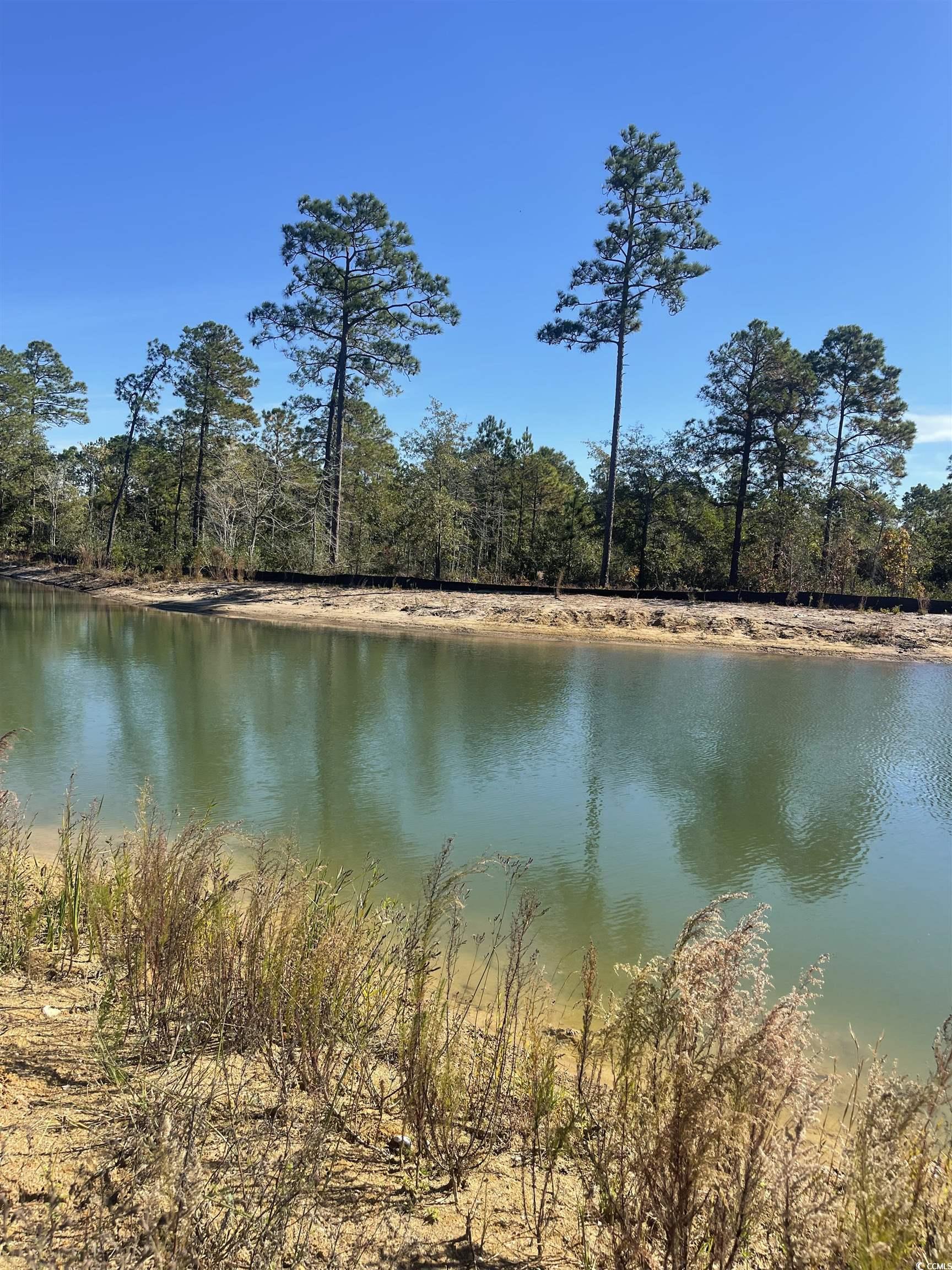 Lot Z1 Hardwick Road Conway, SC 29526 - Photo 7 of 11 Water view