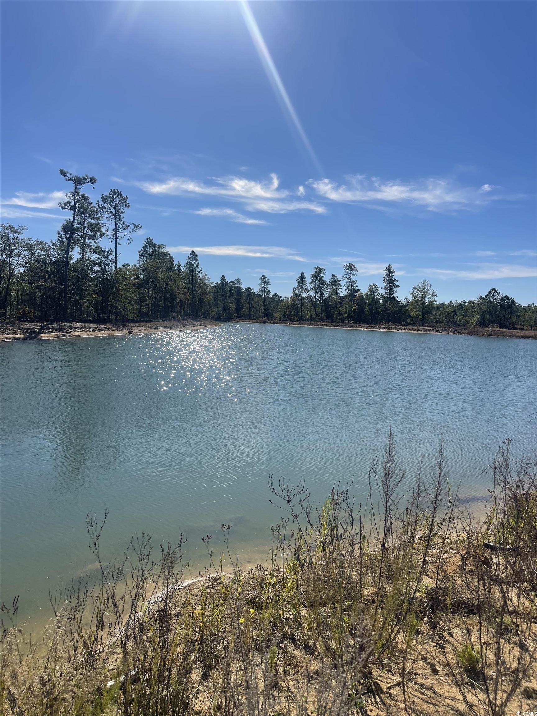 Lot Z1 Hardwick Road Conway, SC 29526 - Photo 8 of 11 Water view