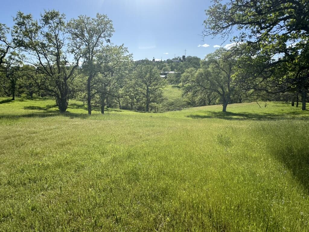 a view of an outdoor space and a yard