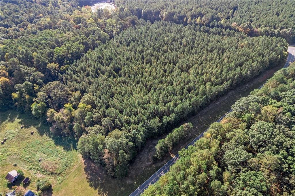 0 Hogan Farm Road Star, NC 27356 - Photo 11 of 12