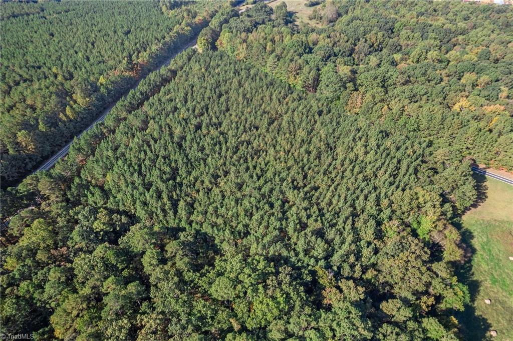0 Hogan Farm Road Star, NC 27356 - Photo 12 of 12