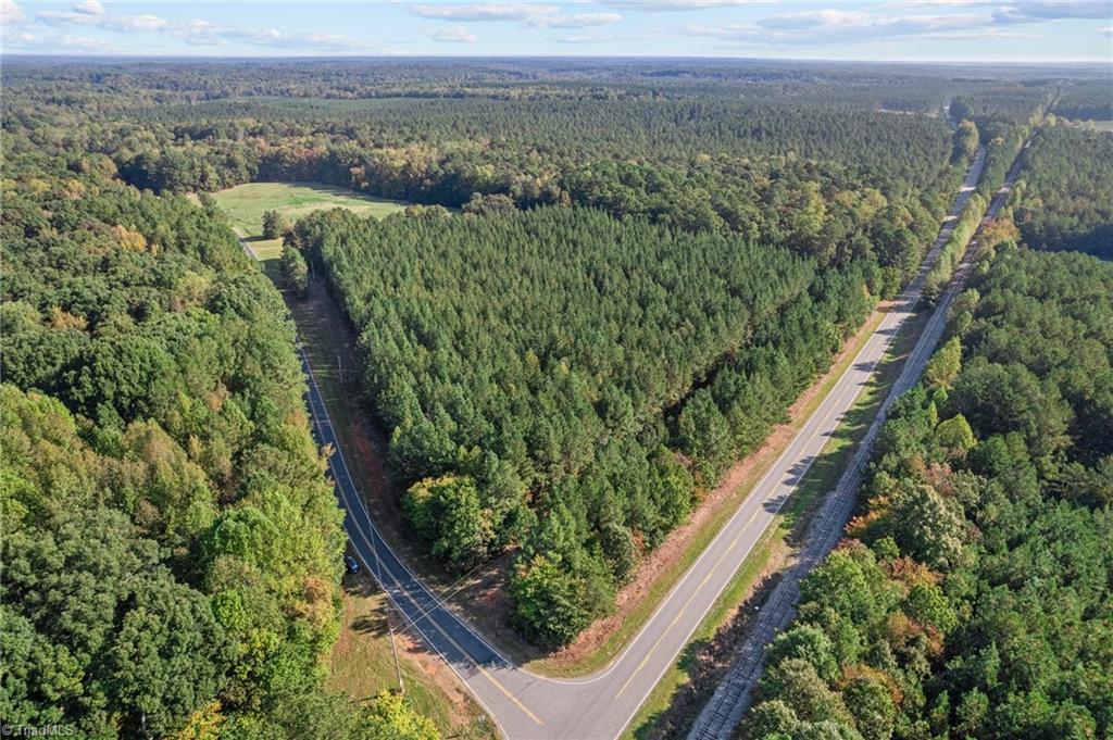 0 Hogan Farm Road Star, NC 27356 - Photo 3 of 12