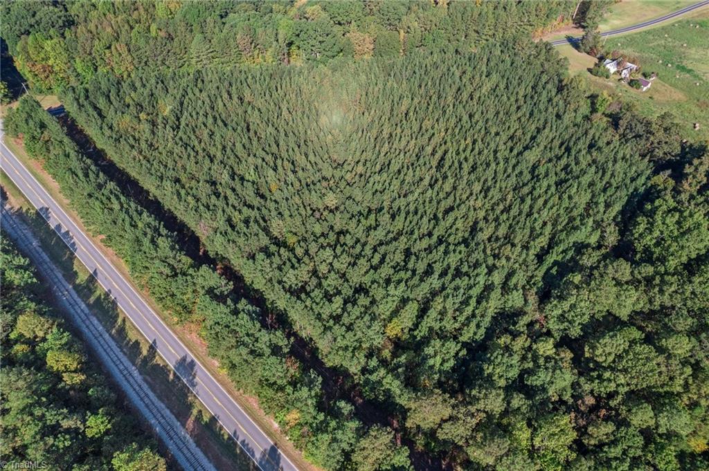 0 Hogan Farm Road Star, NC 27356 - Photo 4 of 12