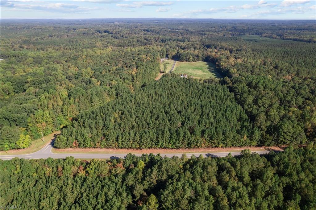 0 Hogan Farm Road Star, NC 27356 - Photo 6 of 12