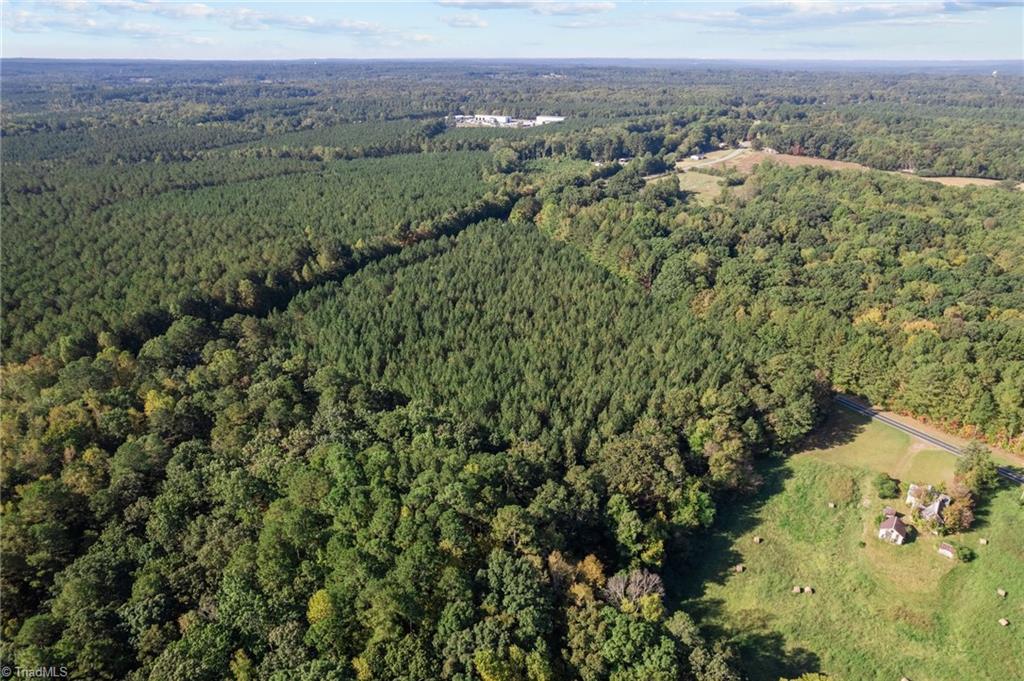 0 Hogan Farm Road Star, NC 27356 - Photo 8 of 12
