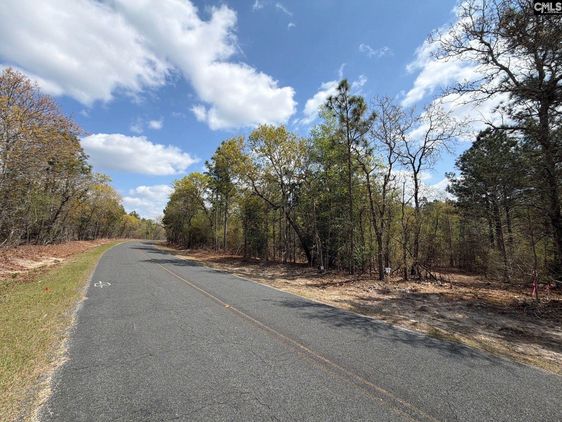 3 Mt Calvary Rd Ridge Spring Ridge Spring, SC 29129 - Photo 4 of 27