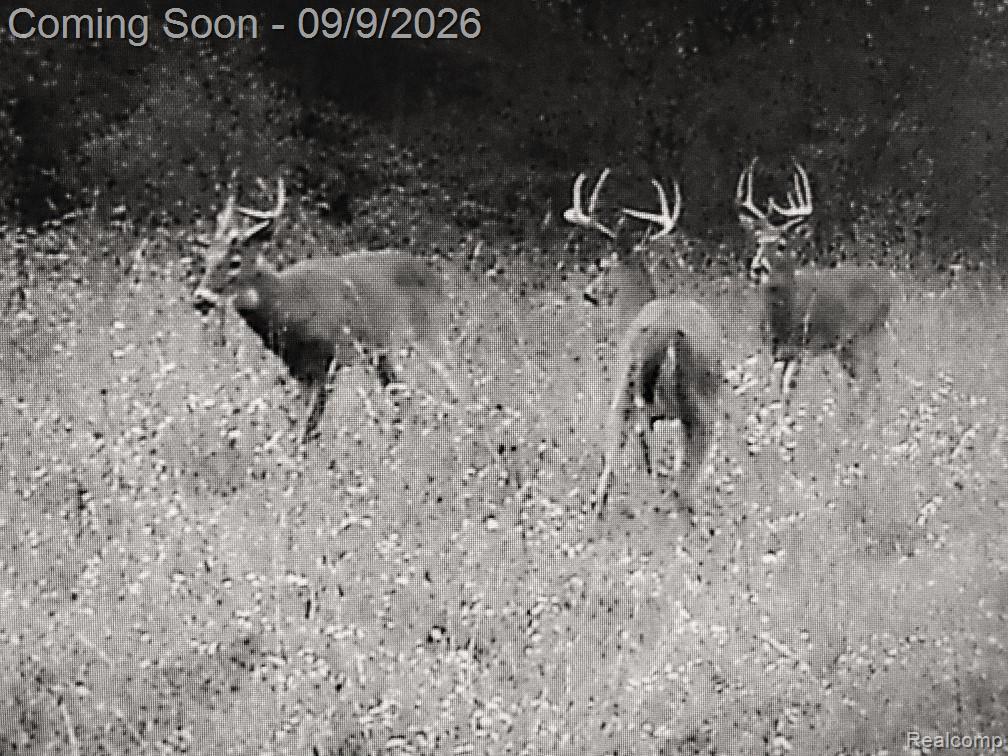 4701 East Allen Road Webberville, MI 48892 - Photo 73 of 75 Look at these guys!