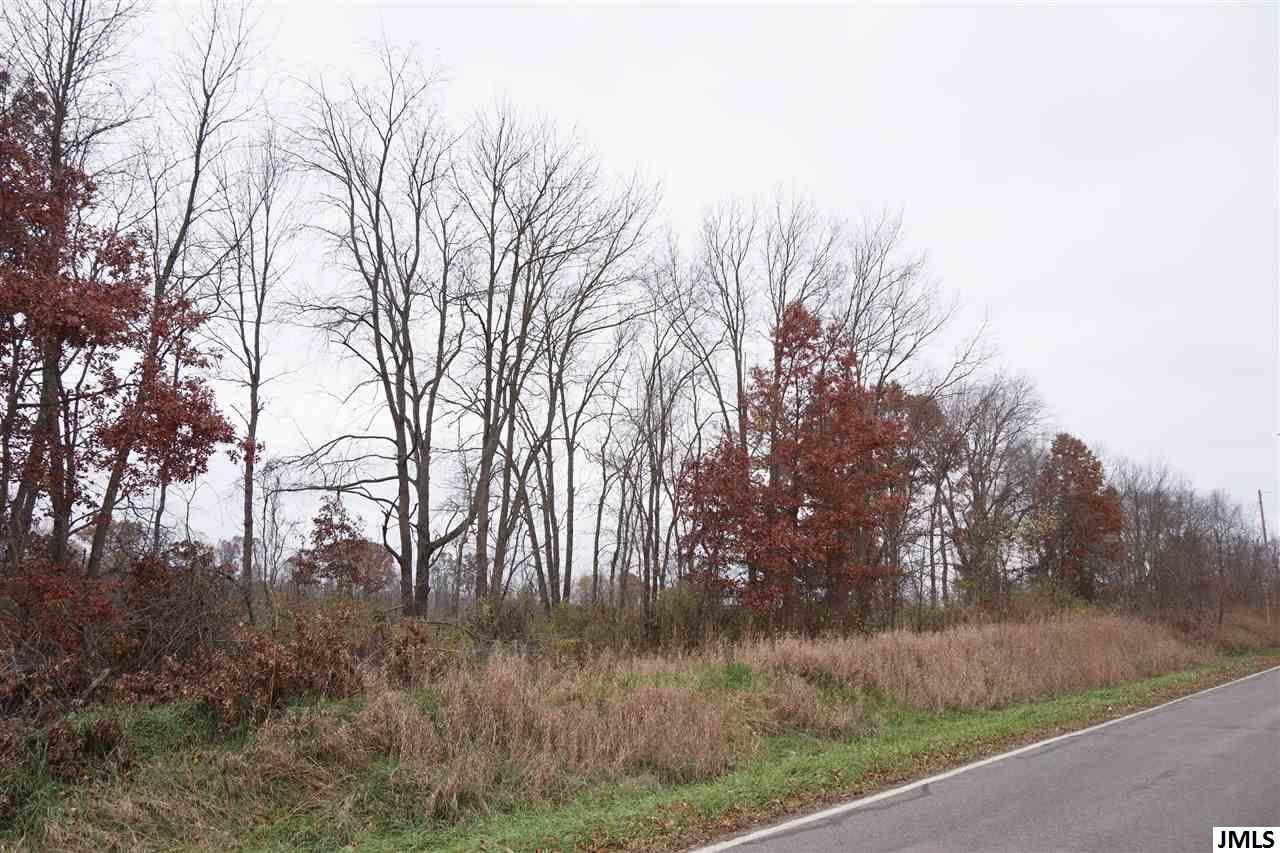 Parcel #2 Grand River Road Rives Junction, MI 49277 - Photo 5 of 6 Photo 5