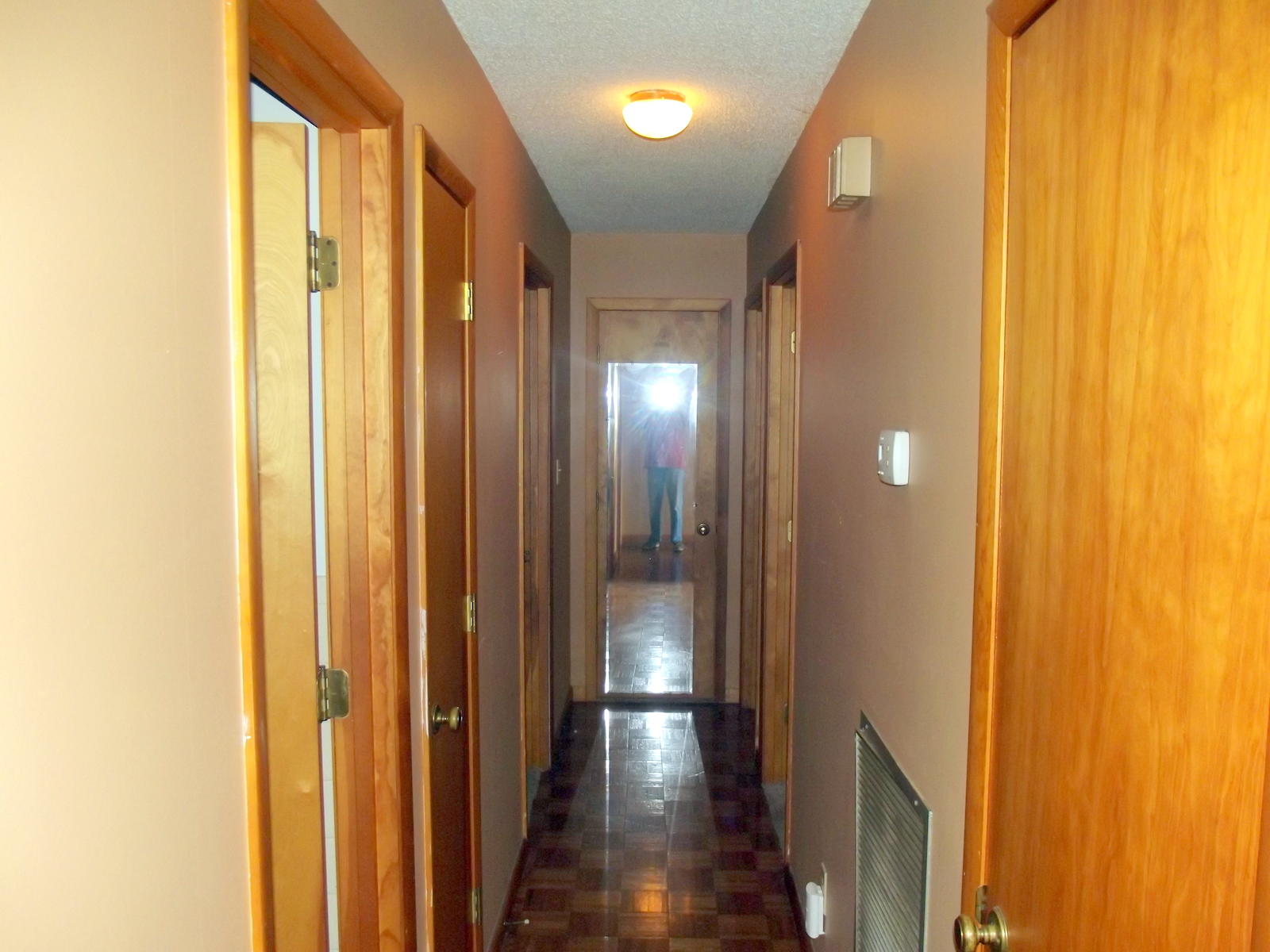 806 Spring Street Philadelphia, TN 37846 - Photo 13 of 22 13-DSCF1715