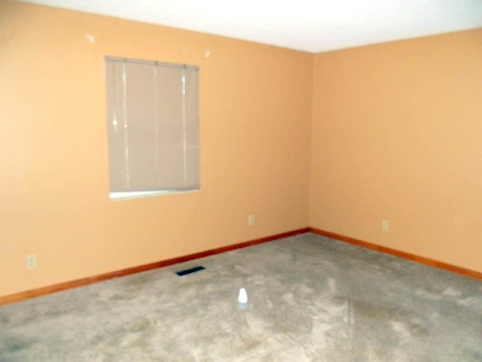 806 Spring Street Philadelphia, TN 37846 - Photo 16 of 22 16-DSCF1718