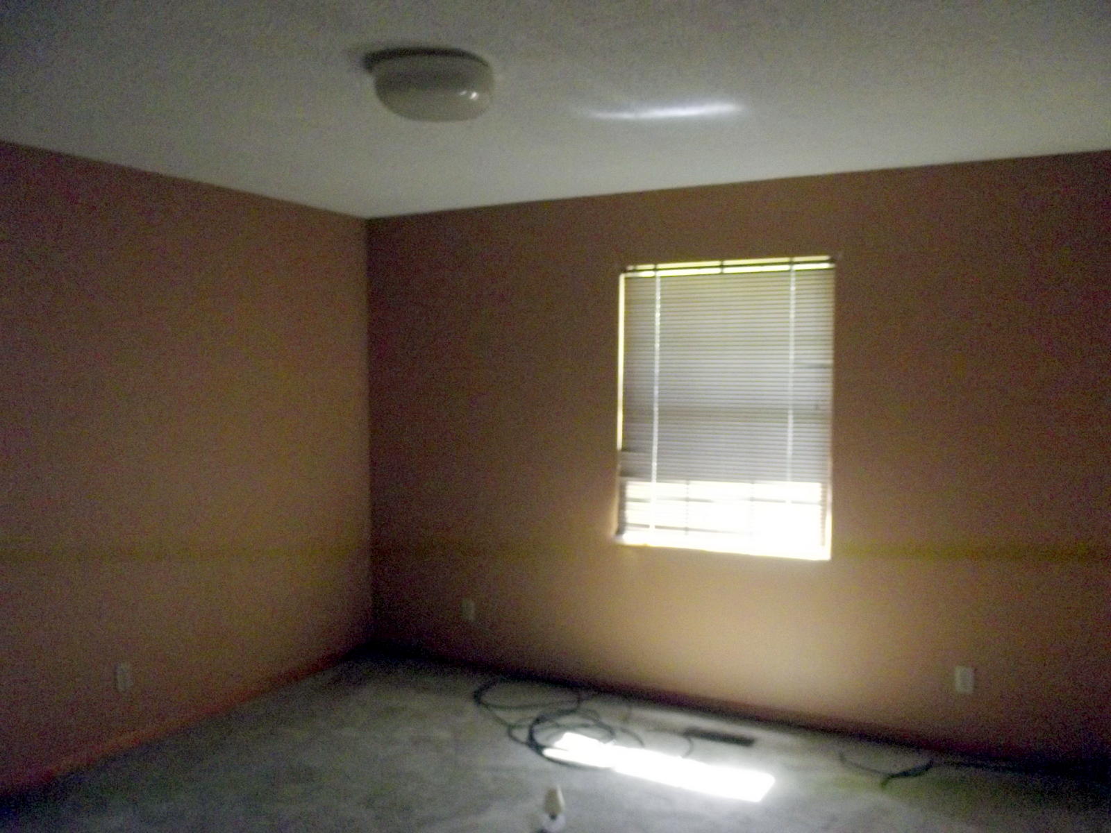 806 Spring Street Philadelphia, TN 37846 - Photo 18 of 22 18-DSCF1720