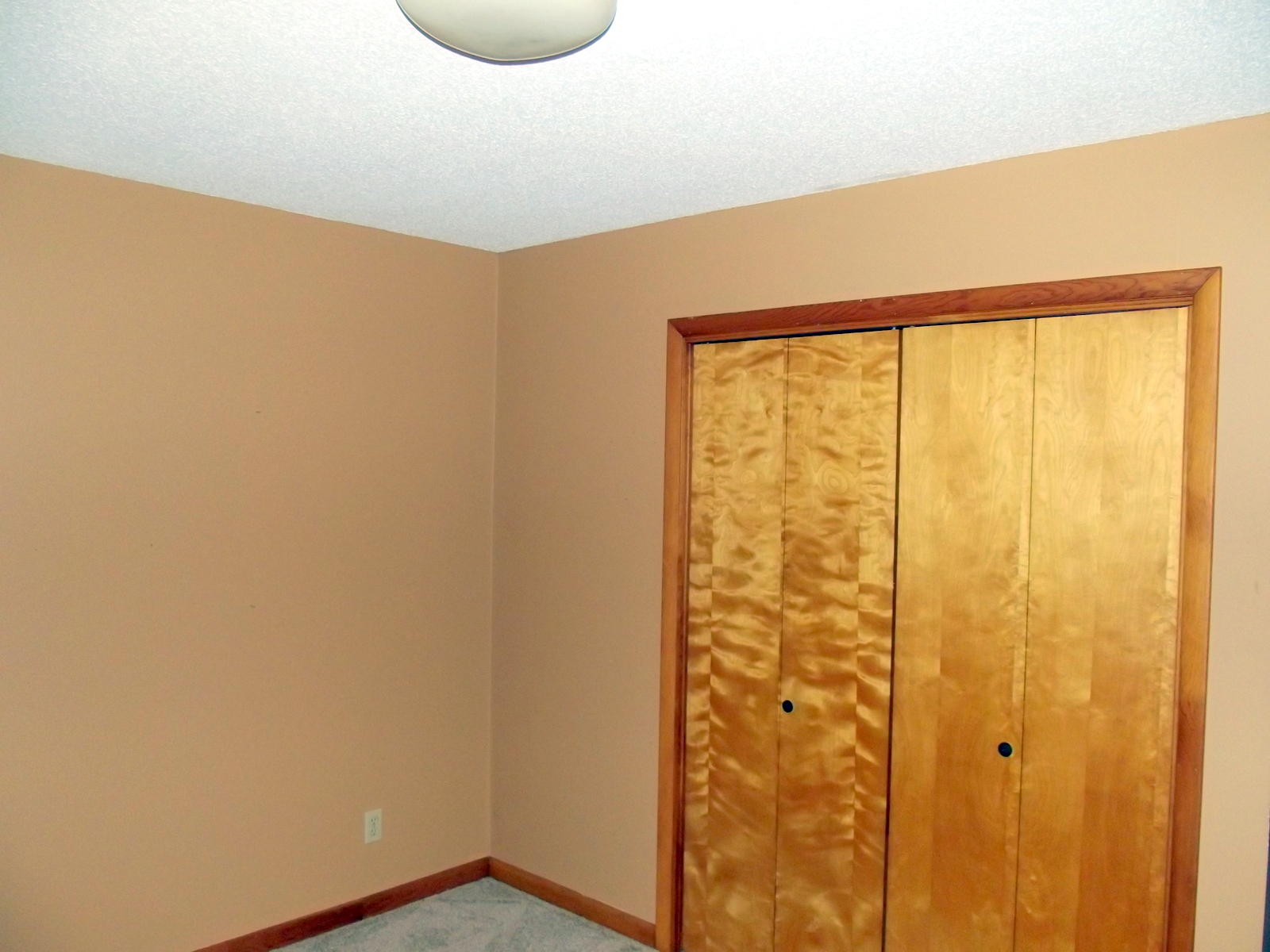 806 Spring Street Philadelphia, TN 37846 - Photo 19 of 22 19-DSCF1721