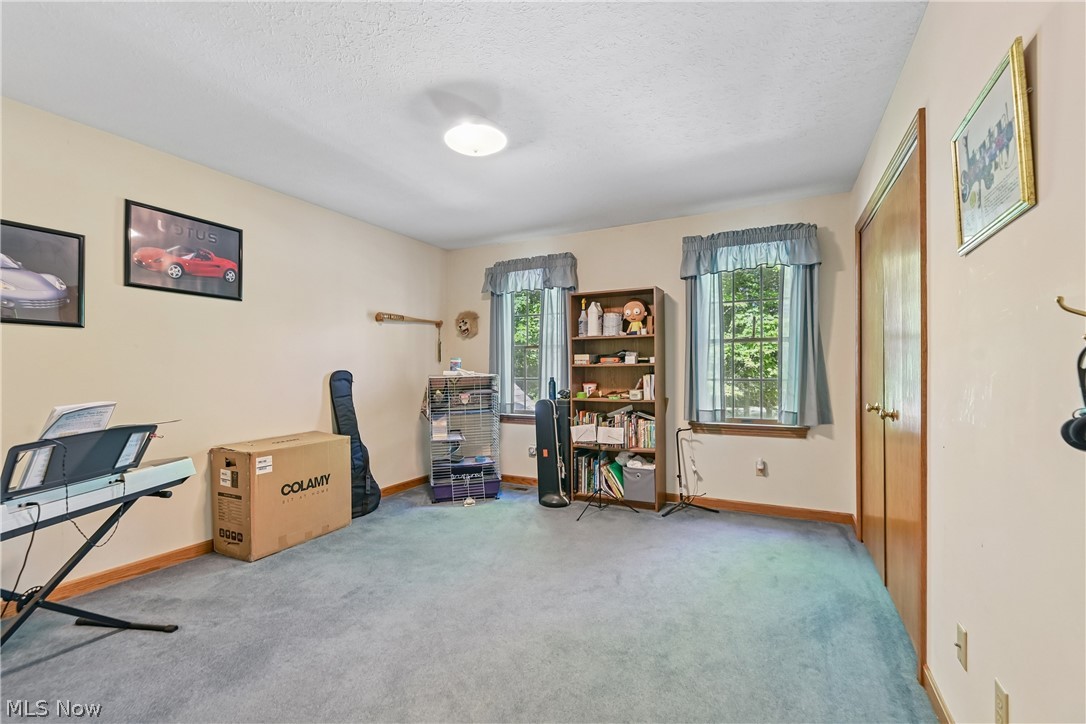 2660 South Medina Line Road Wadsworth, OH 44281 - Photo 33 of 48 Bedroom with closet and carpet flooring