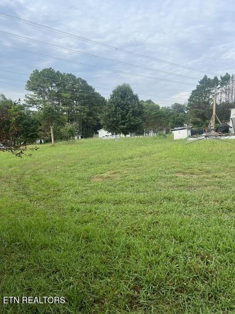 180 Hamil Road Friendsville, TN 37737 - Photo 1 of 1 Grass IMG_8650