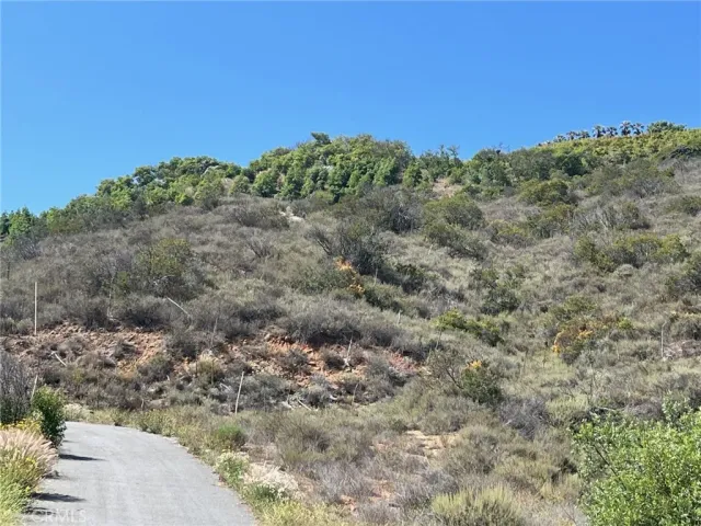 a view of a large yard with lots of bushes