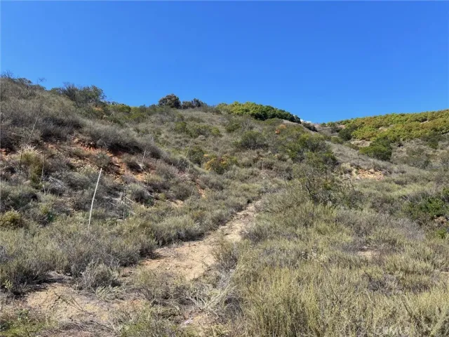 a view of a mountain
