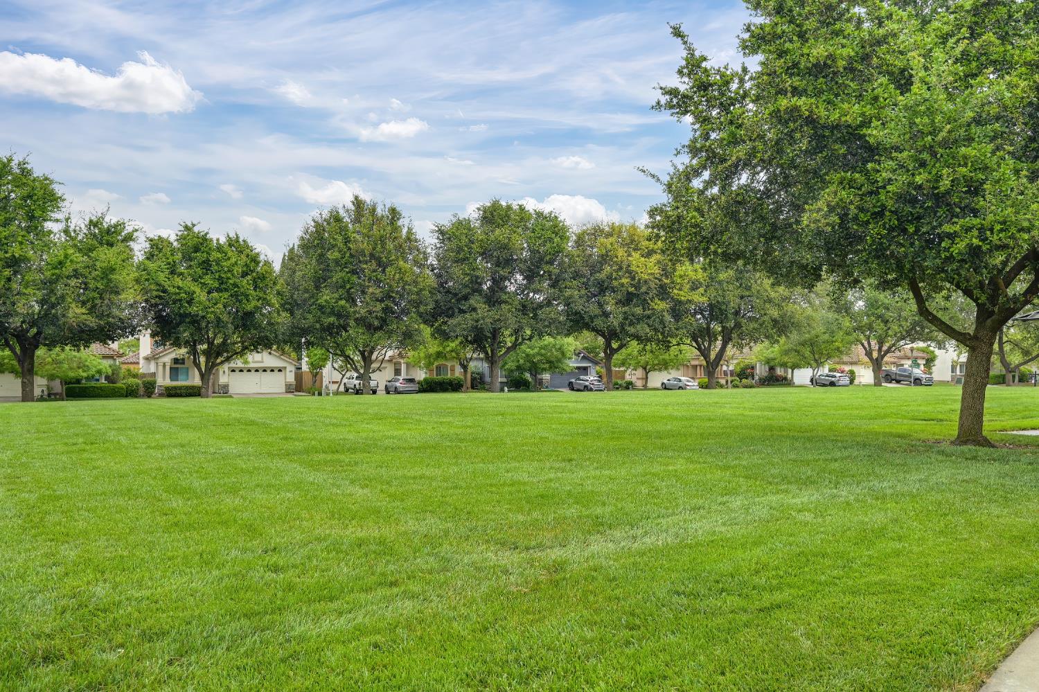 9177 Rizes Way Elk Grove, CA 95758 - Photo 95 of 96