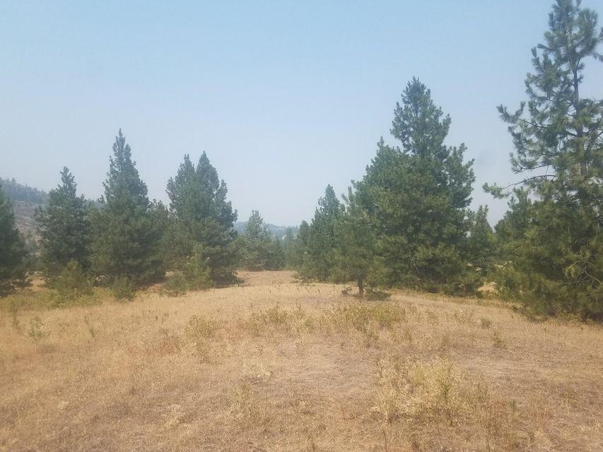 26 Saddle Ridge Road Kettle Falls, WA 99141 - Photo 2 of 10 Gallery Image 2