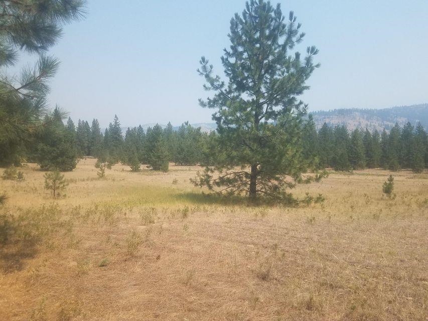 26 Saddle Ridge Road Kettle Falls, WA 99141 - Photo 3 of 10 Gallery Image 3