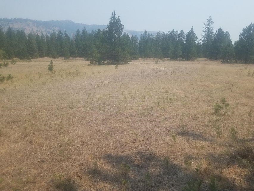 26 Saddle Ridge Road Kettle Falls, WA 99141 - Photo 4 of 10 Gallery Image 4