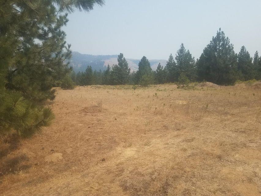 26 Saddle Ridge Road Kettle Falls, WA 99141 - Photo 10 of 10 Gallery Image 10