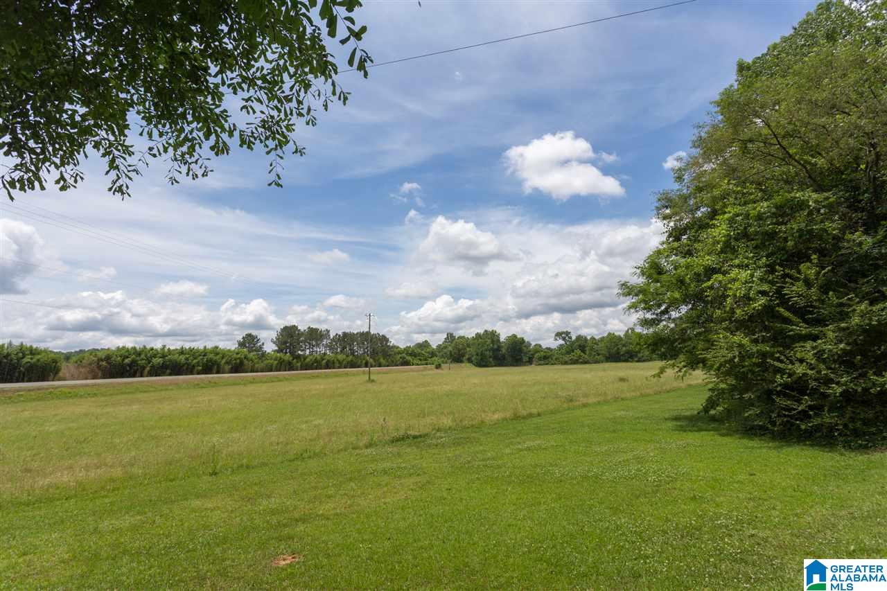 2450 Mcelderry Road Munford, AL 36268 - Photo 44 of 50