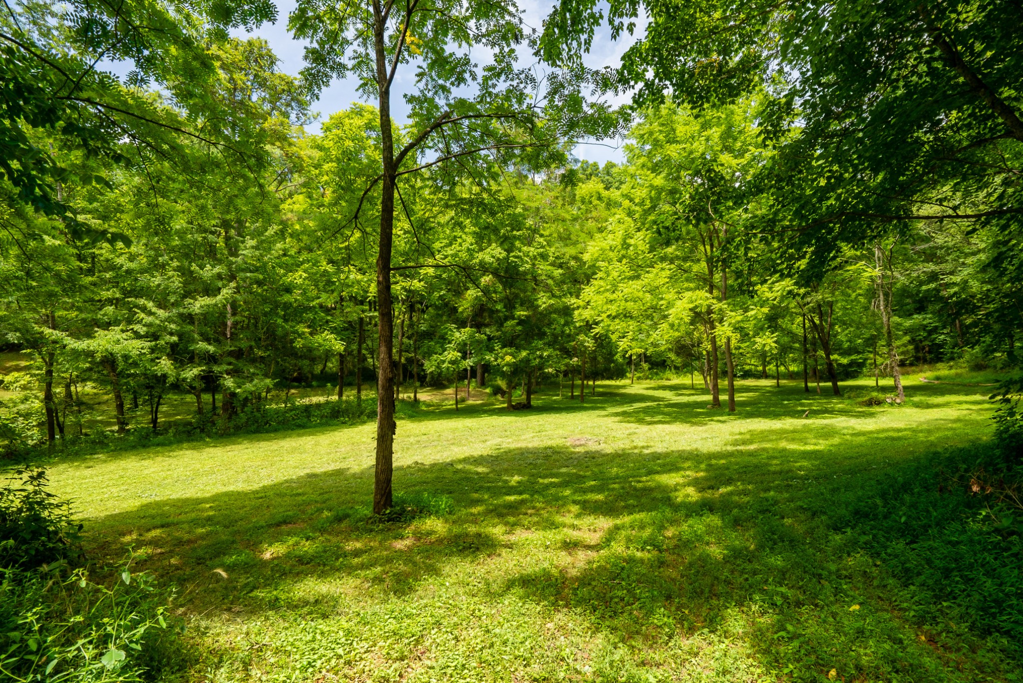 0 Bethlehem Road Springfield, TN 37172 - Photo 8 of 41 Gallery Image 8