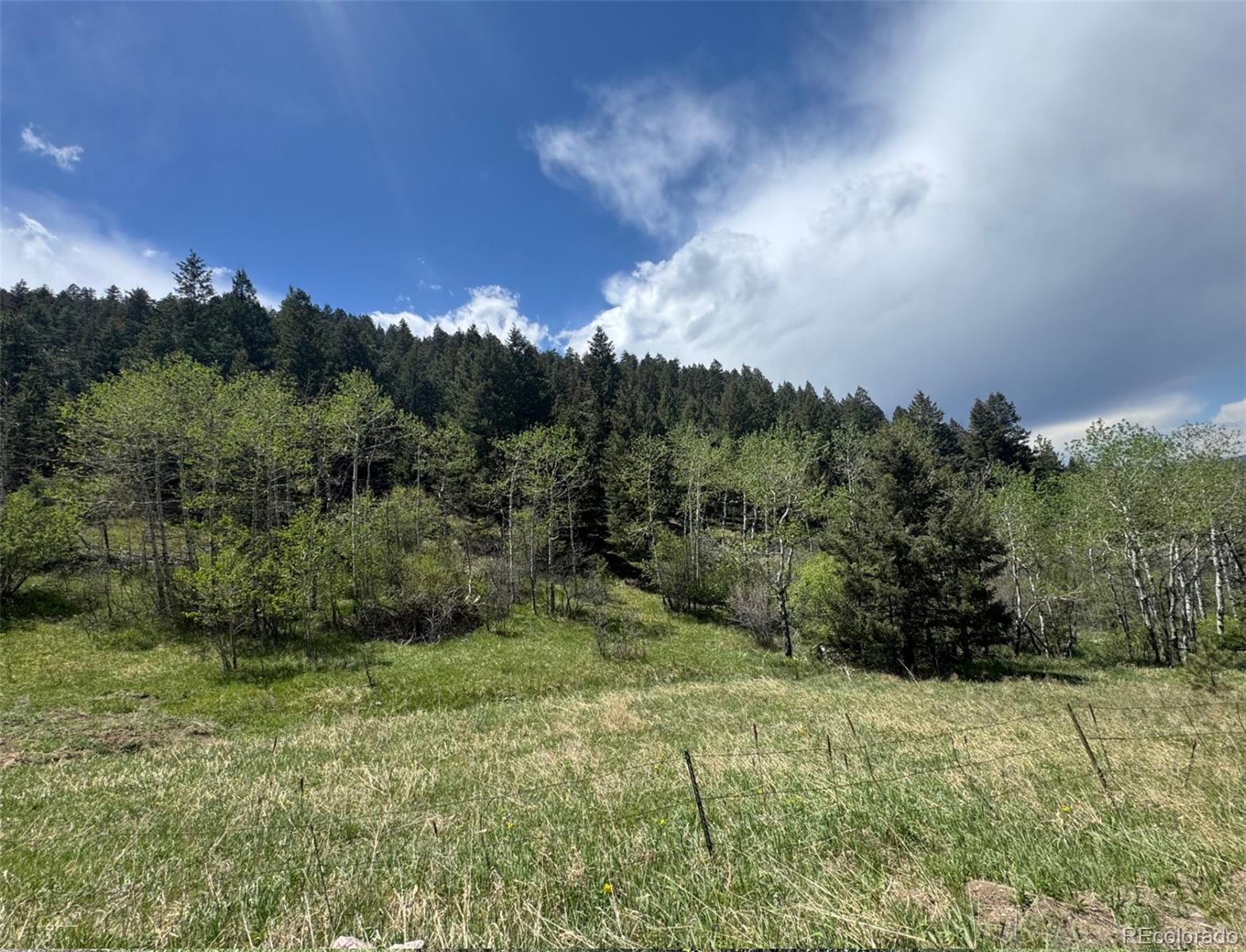 South Maxwell Hill Road Littleton, CO 80127 - Photo 3 of 14