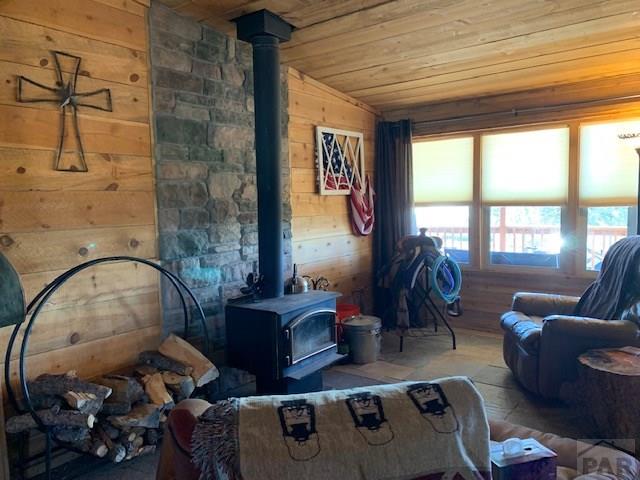 4575 Doe Valley Road Guffey, CO 80820 - Photo 2 of 47