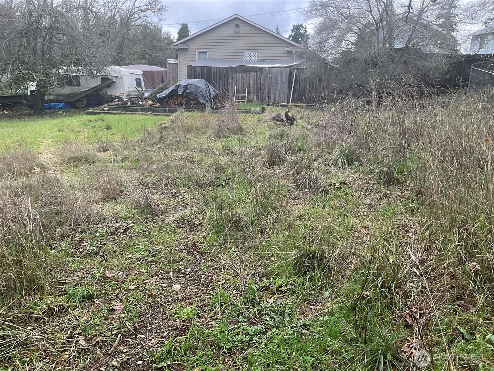 1015 Morris Street Bremerton, WA 98310 - Photo 4 of 6 a view of a house with a yard and large trees