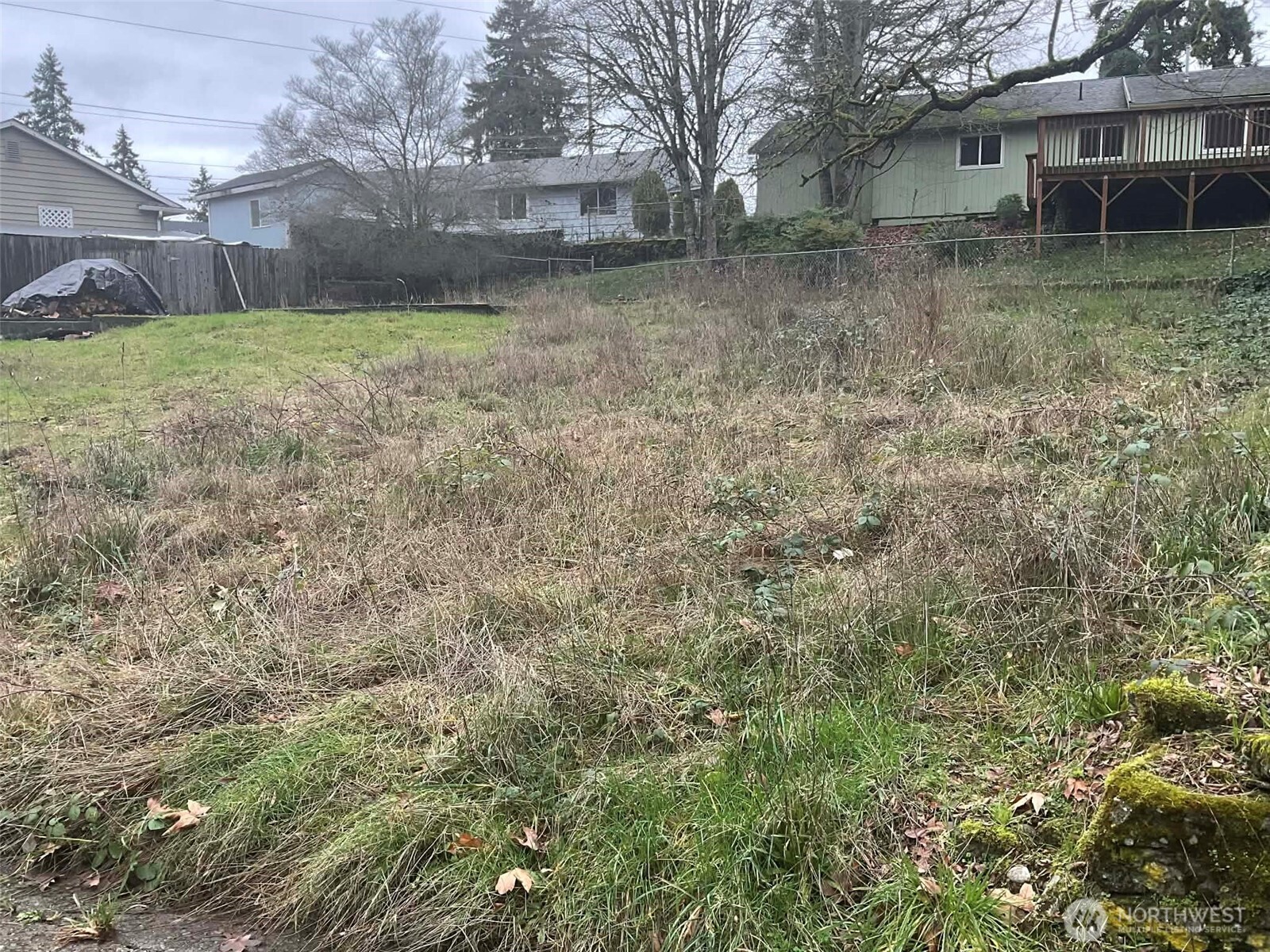 1015 Morris Street Bremerton, WA 98310 - Photo 5 of 6 a view of a backyard with large trees