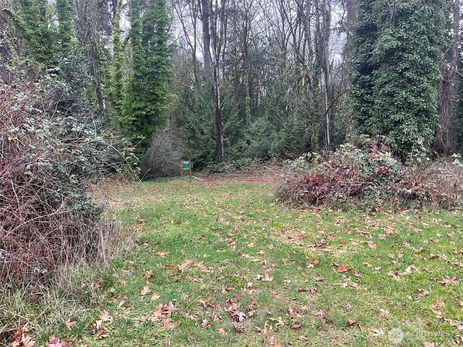 1015 Morris Street Bremerton, WA 98310 - Photo 6 of 6 a big yard with lots of green space and fog