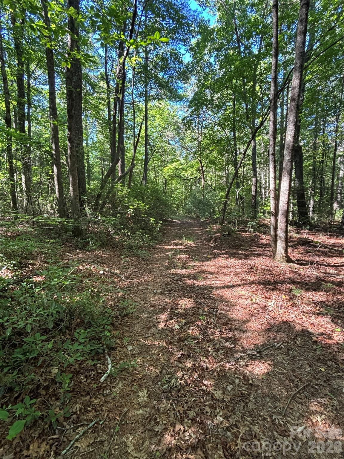 0 Stillwater Road Boomer, NC 28606 - Photo 24 of 33