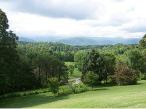 95 Chestnut Ridge Road Afton, TN 37616 - Photo 3 of 7 Photo 3