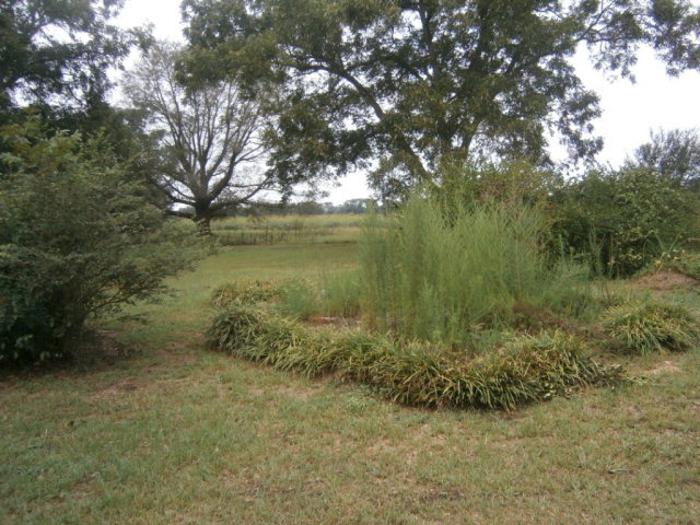 5091 Pine Level Road Ideal, GA 31041 - Photo 2 of 13 a view of a garden with a tree