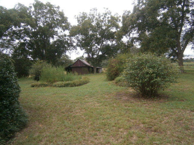 5091 Pine Level Road Ideal, GA 31041 - Photo 3 of 13 a view of a forest