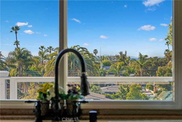 a plant with a plant in a garden