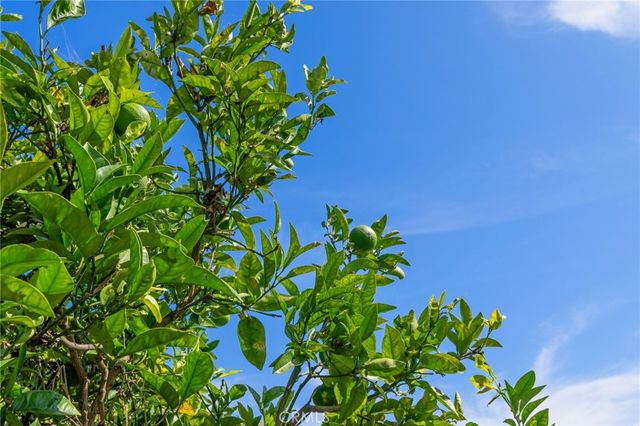 $2,200,000 | 34731 Calle Loma, Dana Point, CA 92624