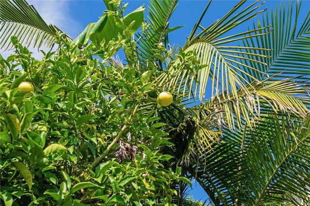 $2,200,000 | 34731 Calle Loma, Dana Point, CA 92624