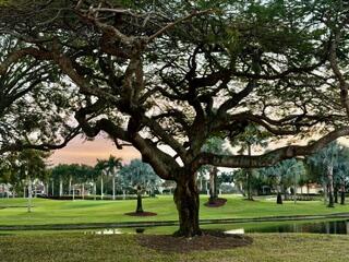 2518 Coco Plum Boulevard, Unit 1202 Boca Raton, FL 33496 - Photo 3 of 26 Lush landscaping