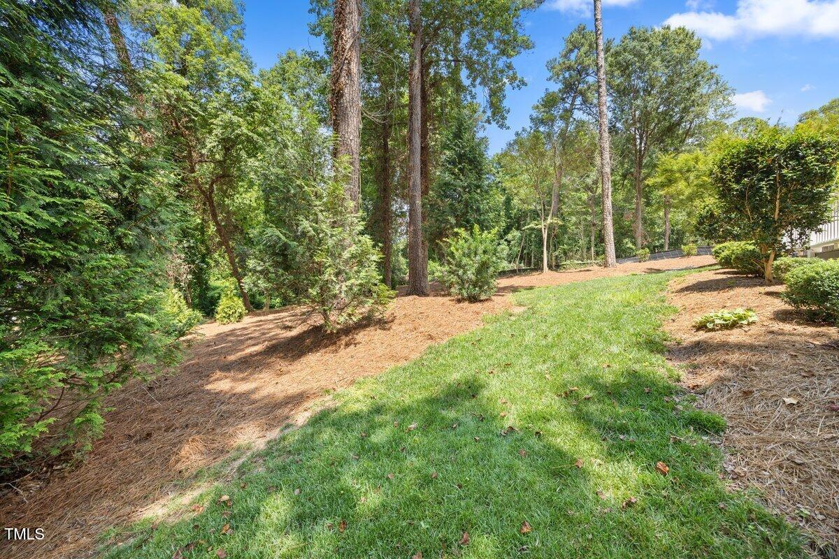 3034 Lewis Farm Road Raleigh, NC 27607 - Photo 56 of 60 a view of a yard with plants and trees