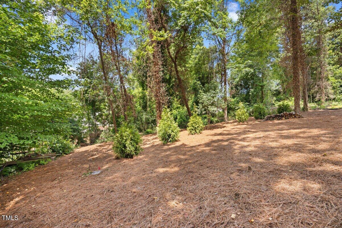3034 Lewis Farm Road Raleigh, NC 27607 - Photo 57 of 60 a view of outdoor space and yard