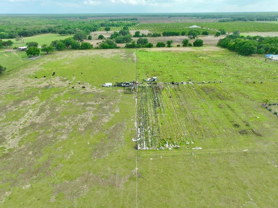 64 West St Road Wauchula, FL 33873 - Photo 3 of 12 a view of a lake with a big yard