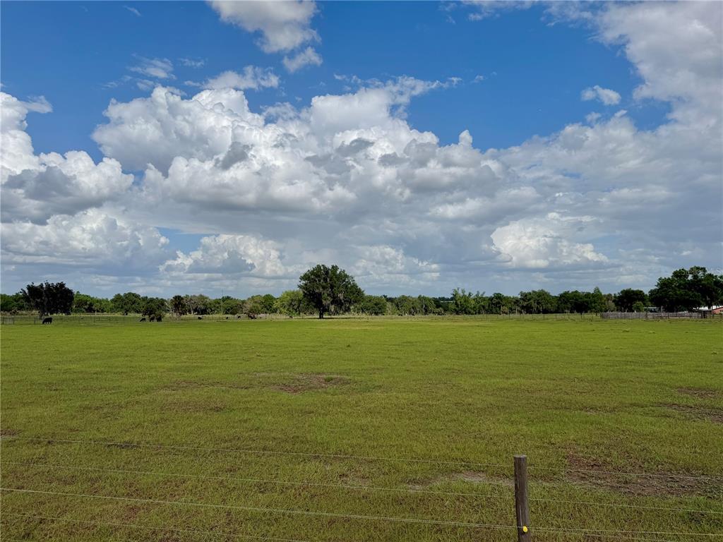 64 West St Road Wauchula, FL 33873 - Photo 4 of 12 a view of an ocean