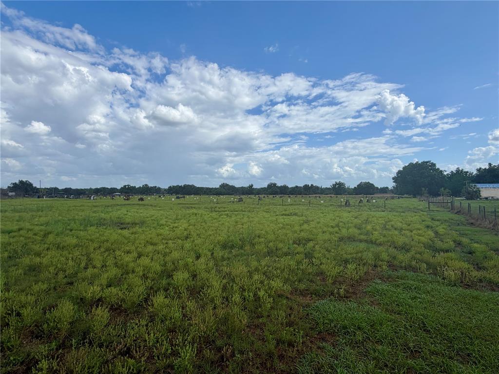 64 West St Road Wauchula, FL 33873 - Photo 10 of 12 a view of an outdoor space and yard